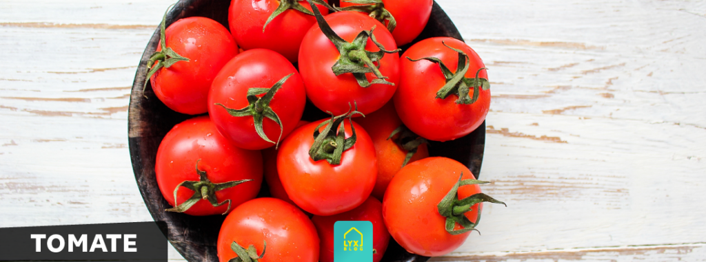 alimentação saudável tomates